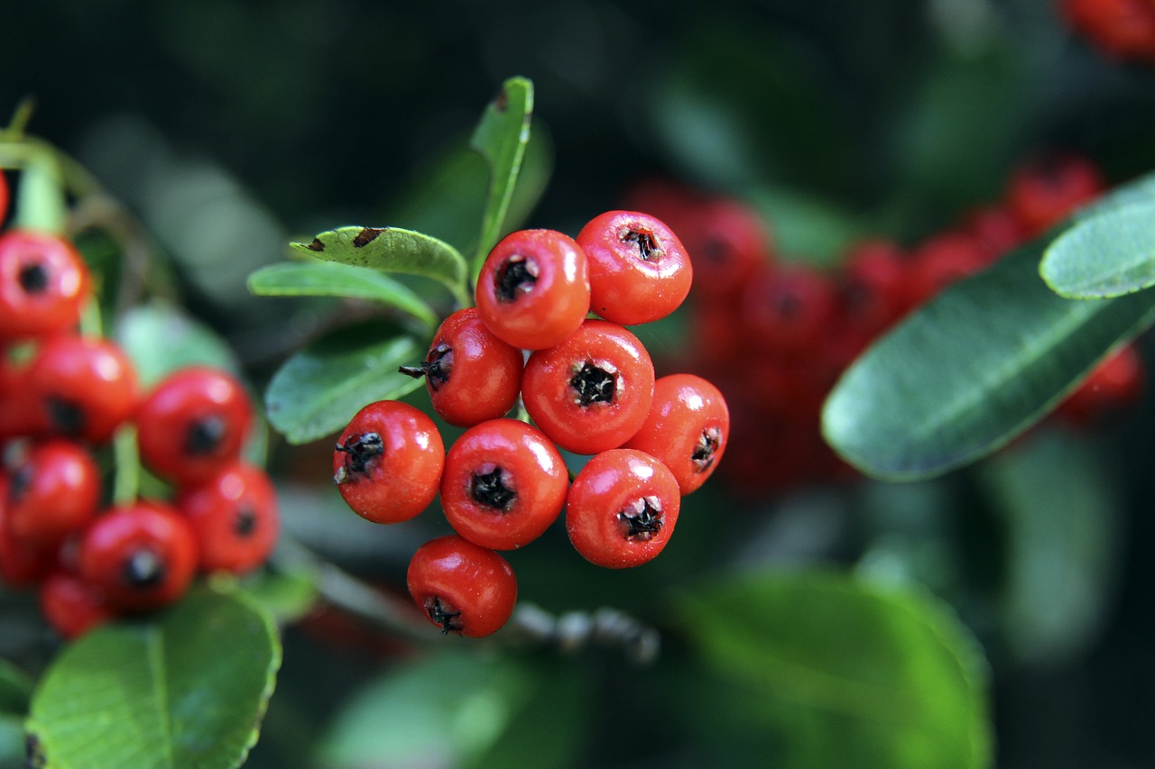 他能否比肩 他能否比肩