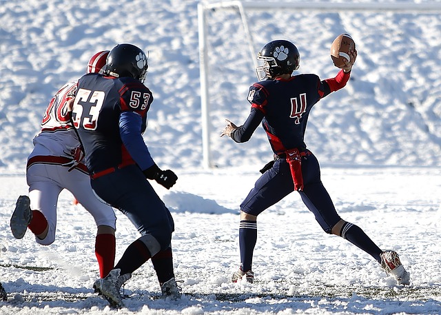 鋪平了道路 鋪平了道路
