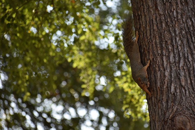 理解能力 理解能力