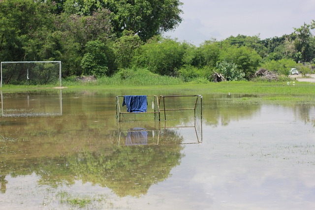 為瑞典的堅 為瑞典的堅