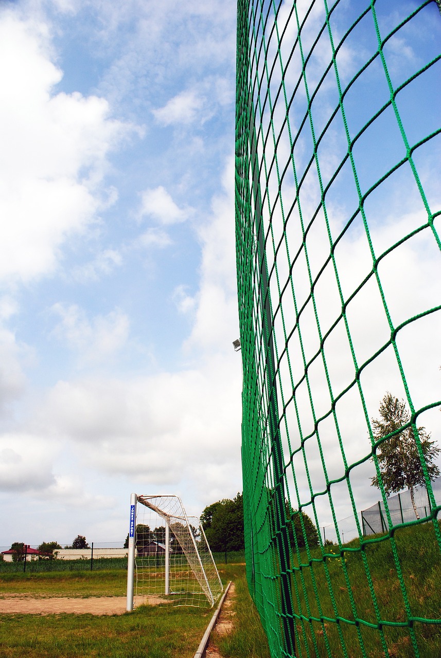 教练的质疑 教练的质疑