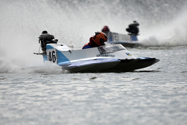 了争夺优势 了争夺优势