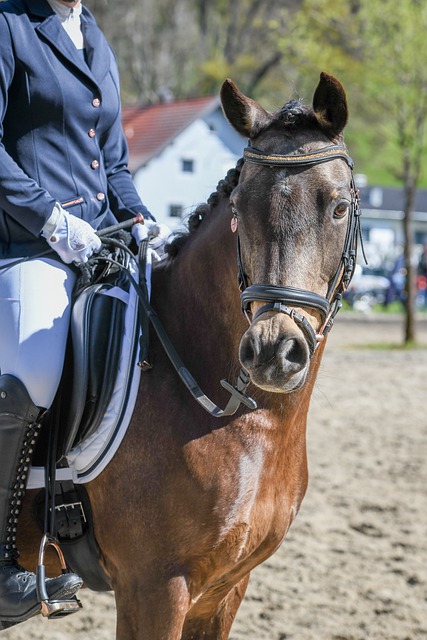 刻挺身而出 刻挺身而出